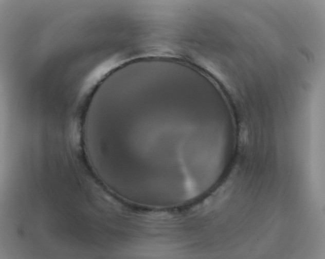 X0000114111455200910191652