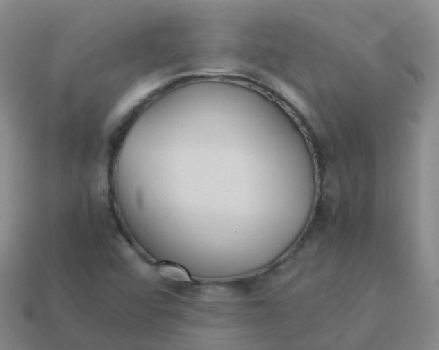 X0000114111456200910191652