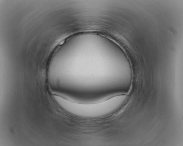 X0000114111457200910191652