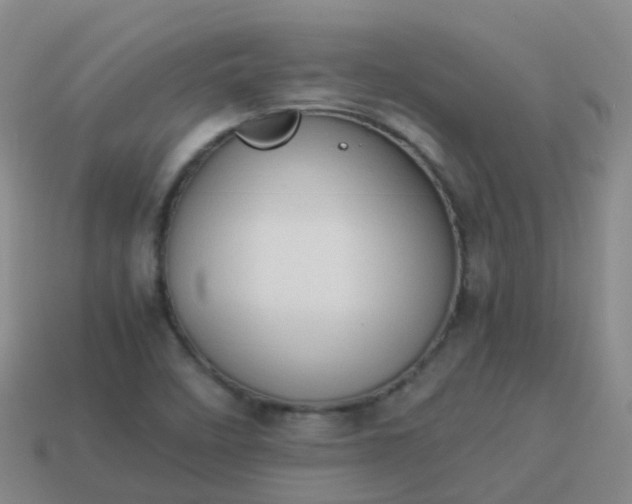 X0000114111458200910191652