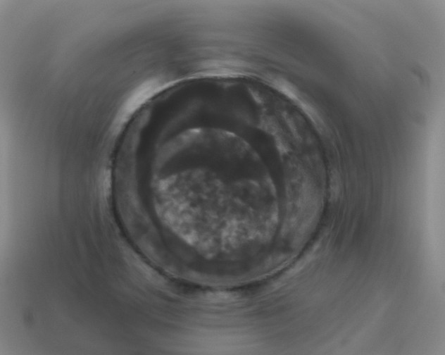 X0000114111459200910191652