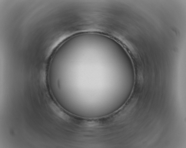 X0000114111460200910191652