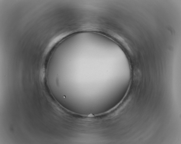 X0000114111461200910191652