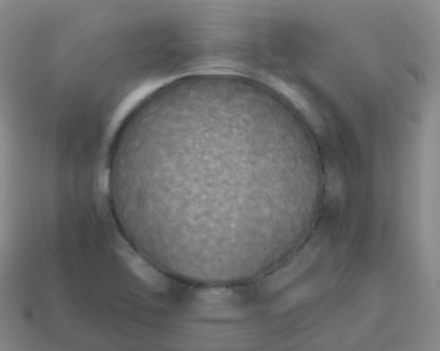 X0000114111462200910191652