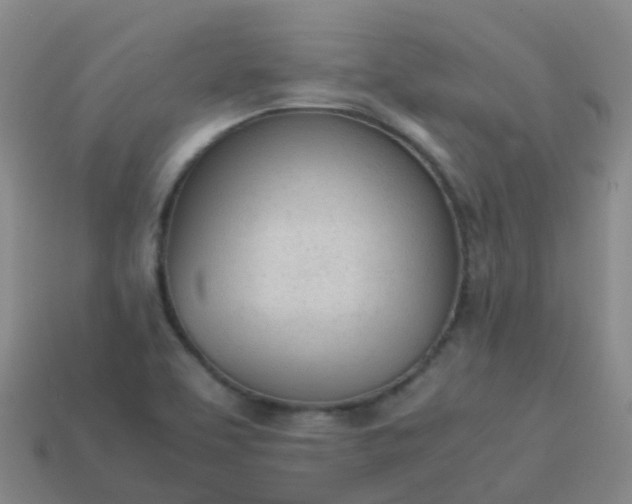 X0000114111463200910191652