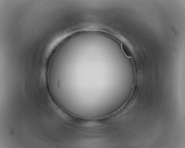 X0000114111464200910191652