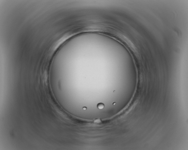 X0000114111465200910191652