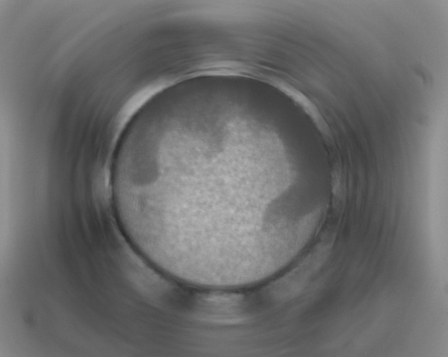 X0000114111466200910191652