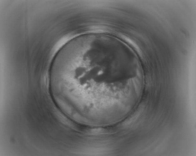 X0000114111467200910191652