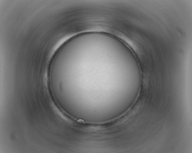 X0000114111468200910191652