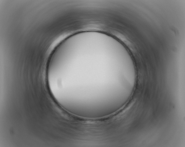 X0000114111469200910191652