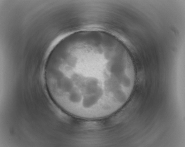 X0000114111470200910191652