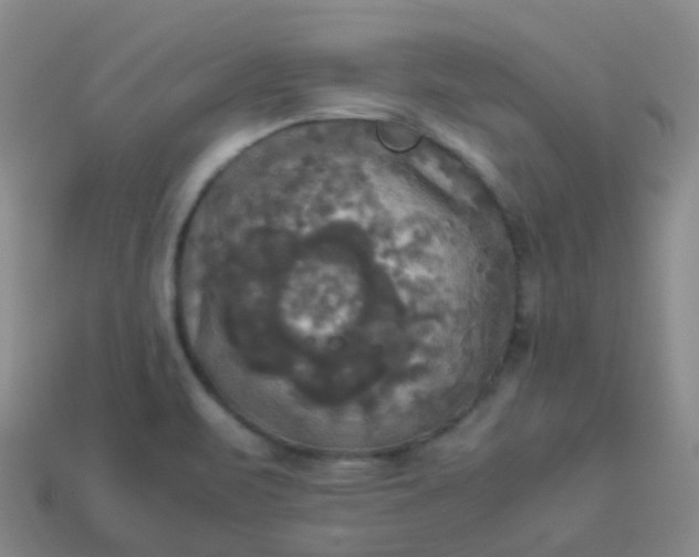 X0000114111471200910191652