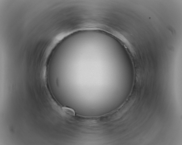 X0000114111472200910191652