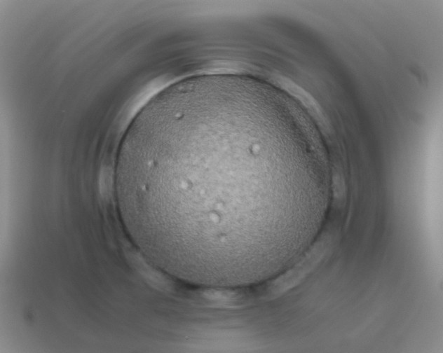 X0000114111473200910191652