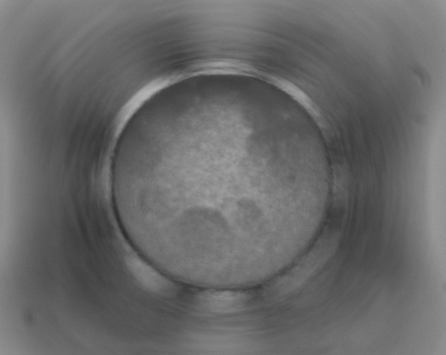 X0000114111474200910191652