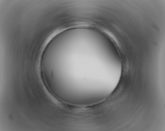 X0000114111475200910191652