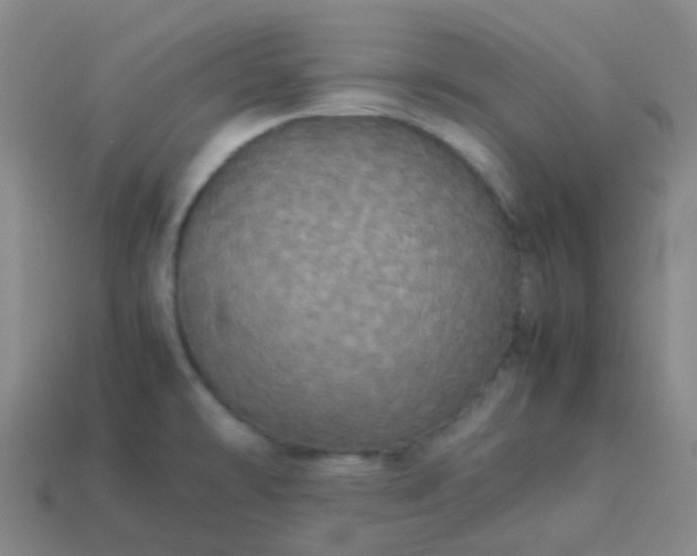 X0000114111478200910191652