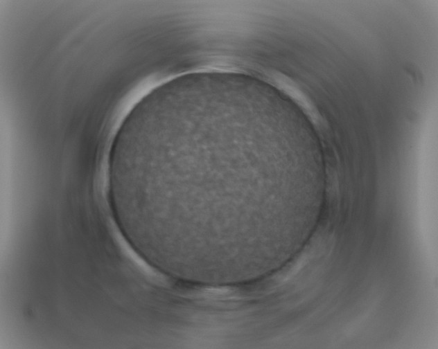 X0000114111479200910191652