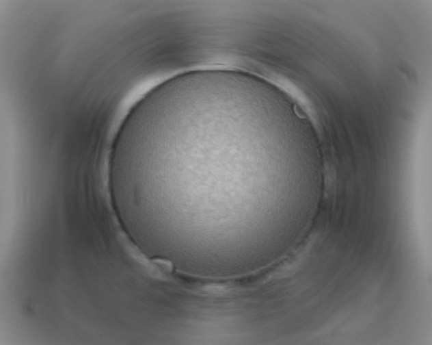 X0000114111480200910191652