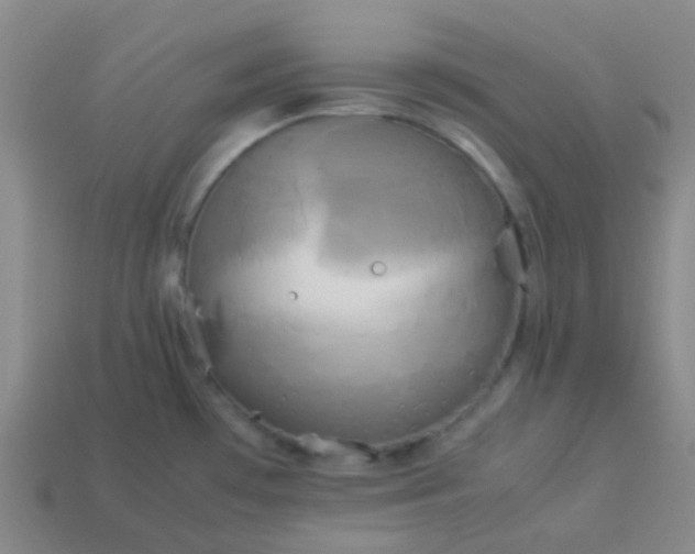 X0000114111481200910191652