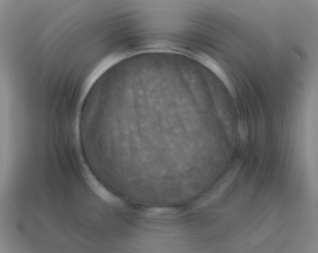 X0000114111482200910191652