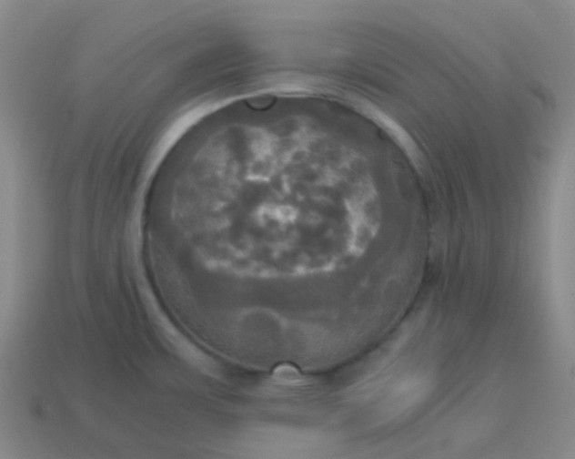 X0000114111483200910191652