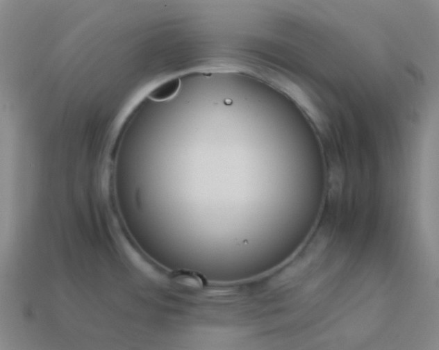 X0000114111484200910191652