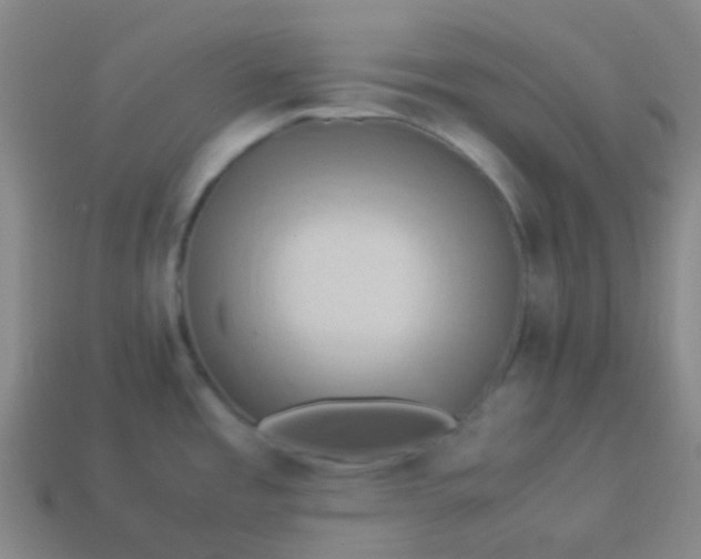 X0000114111485200910191652