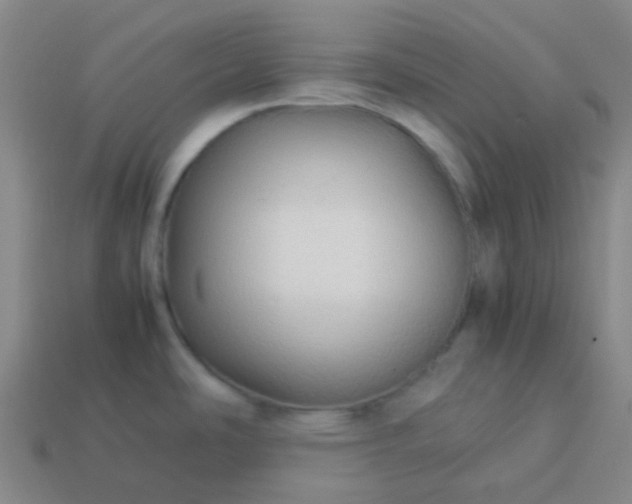 X0000114111486200910191652