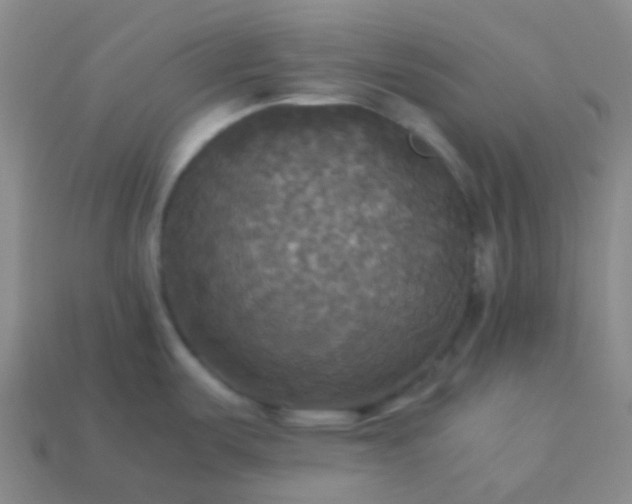 X0000114111487200910191652