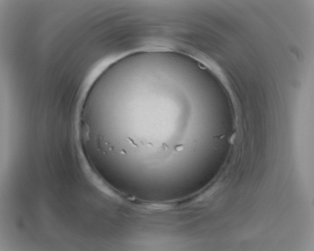 X0000114111488200910191652