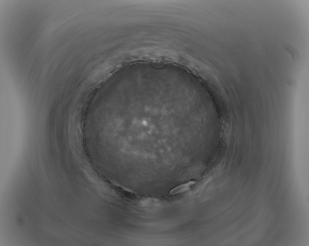 X0000114111489200910191651