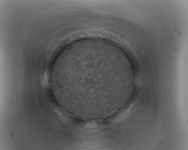 X0000114111490200910191651