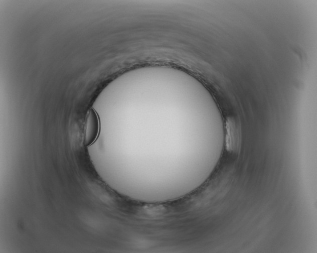 X0000114111491200910191651