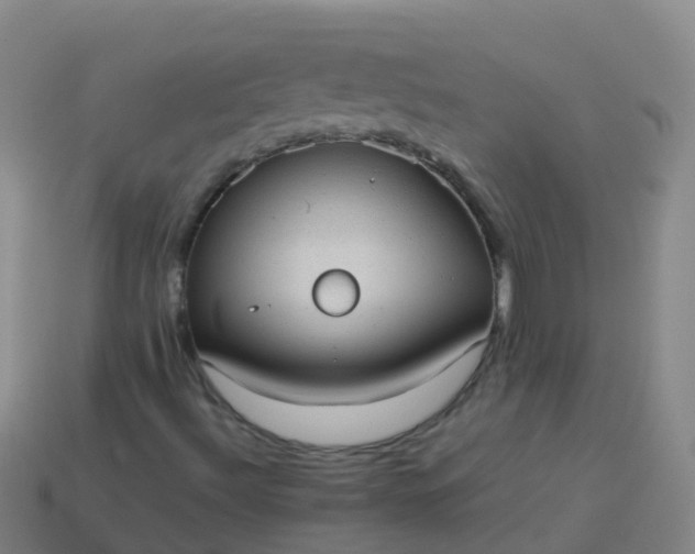 X0000114111492200910191651