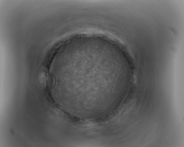 X0000114111493200910191651