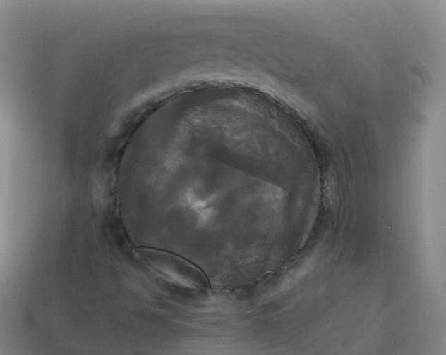 X0000114111494200910191652