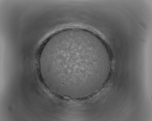 X0000114111496200910191652