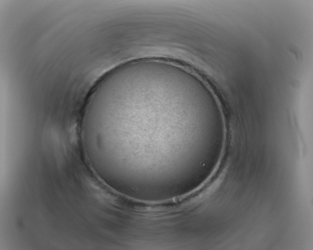 X0000114111497200910191652