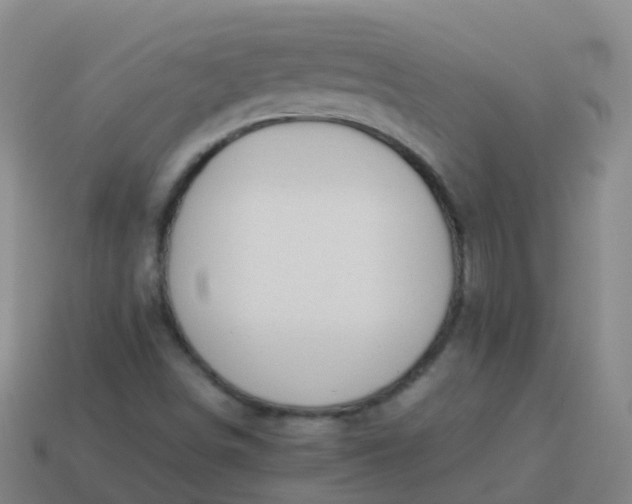 X0000114111498200910191652