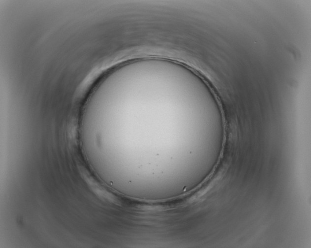 X0000114111499200910191652