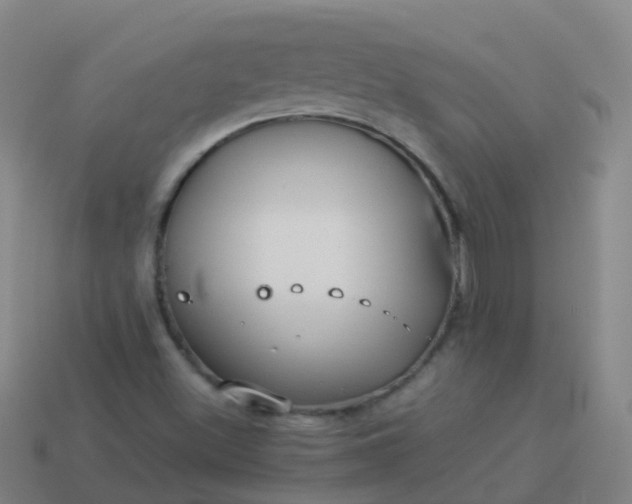 X0000114111500200910191652