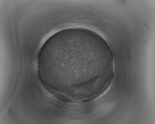 X0000114111501200910191652