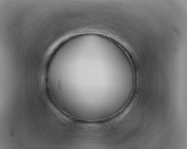 X0000114111502200910191652