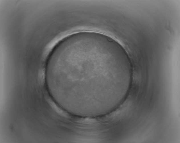 X0000114111503200910191652