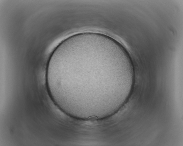 X0000114111504200910191652