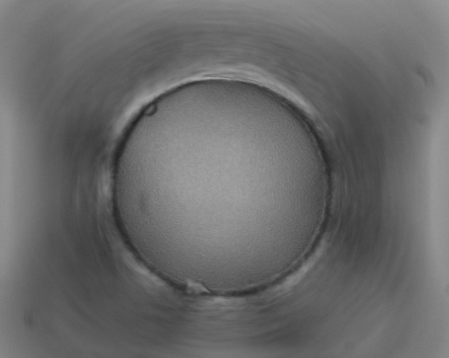 X0000114111506200910191652