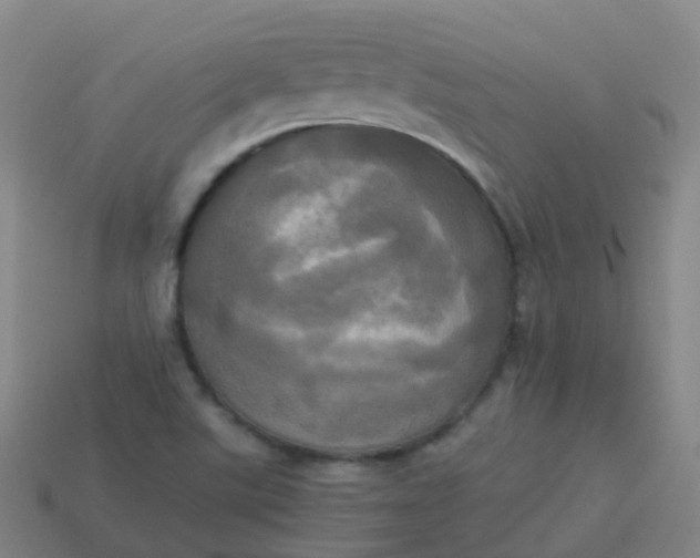 X0000114111507200910191652