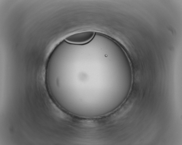 X0000114111508200910191652